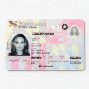 Maryland IDs