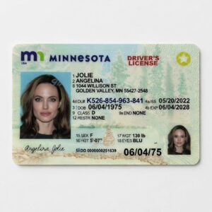 Minnesota IDs